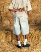 Tinted Reverse Jorts
