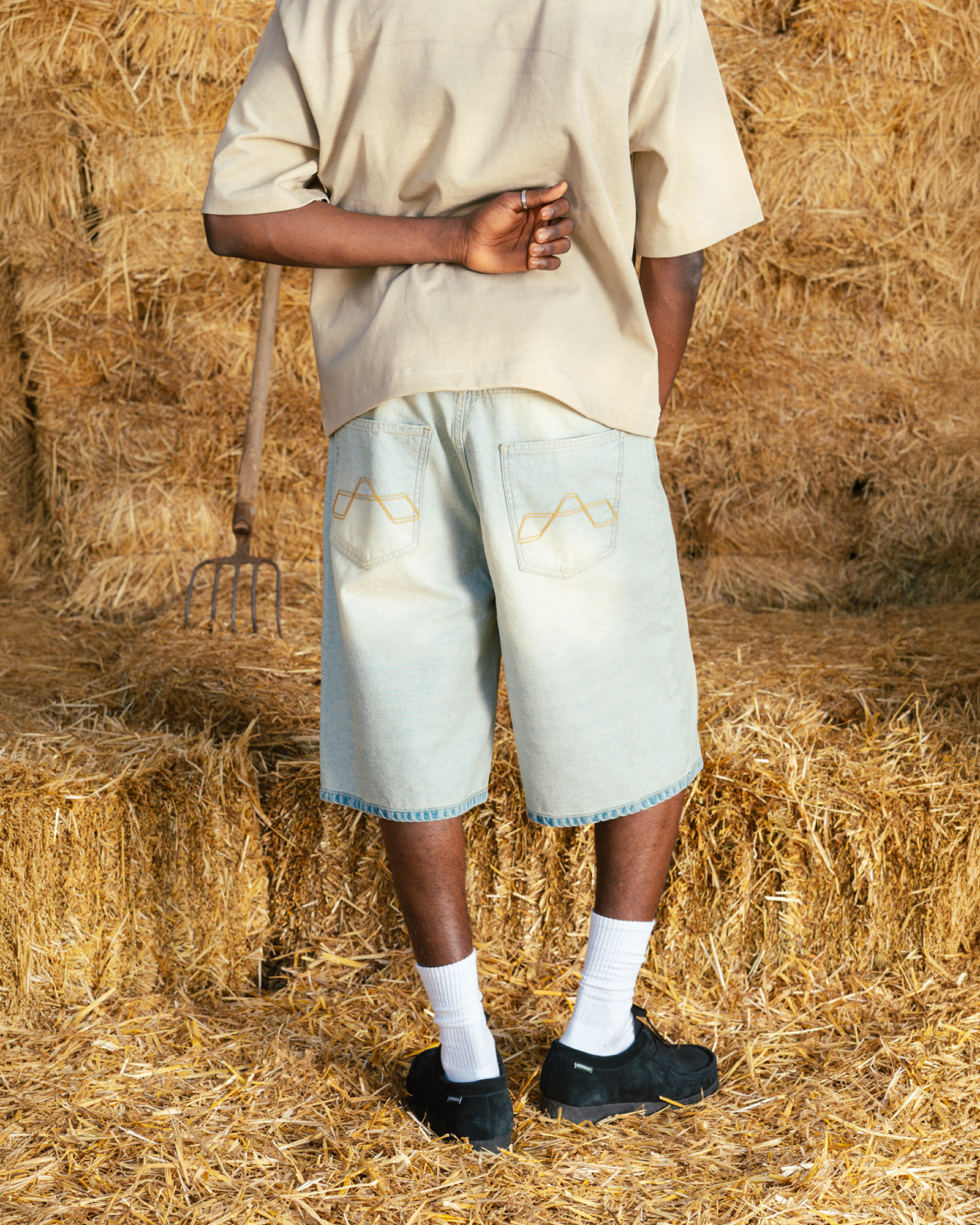 Tinted Reverse Jorts